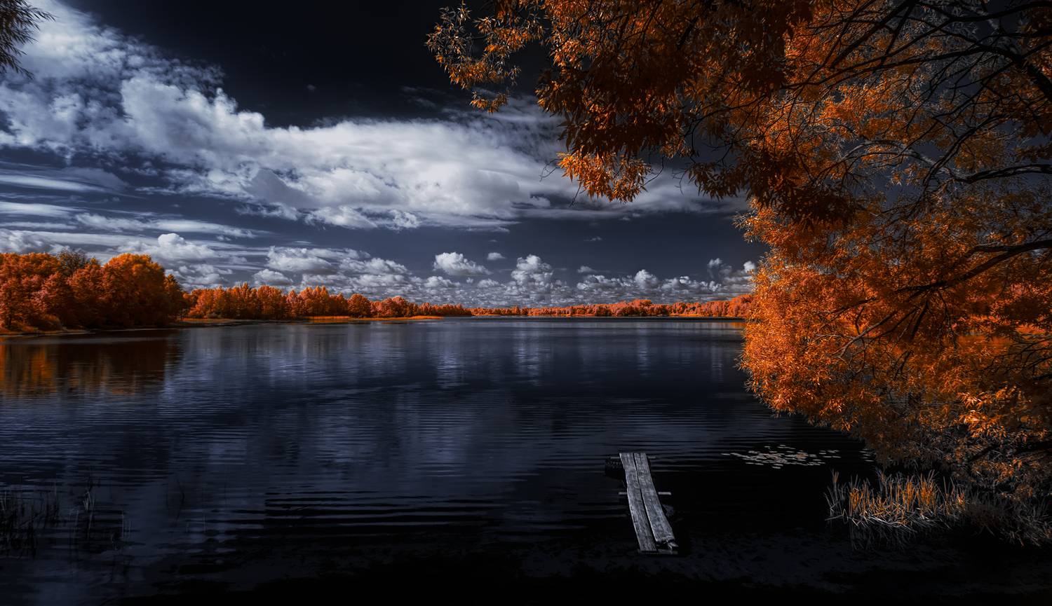 infrared, ик-фото, инфракрасное фото, инфракрасная фотография, пейзаж, лето,  Sixten (Сергей)