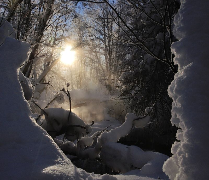 Окно в природу.photo preview