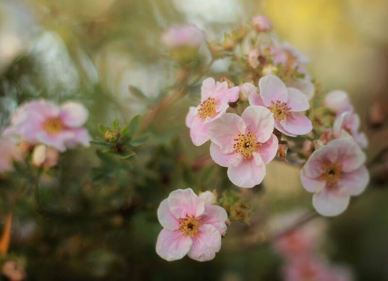 о прошлом лете..photo preview