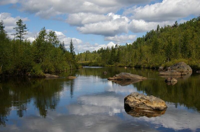 Половинкаphoto preview