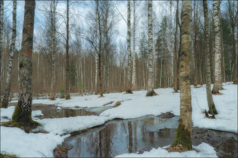 Весне внимая...photo preview