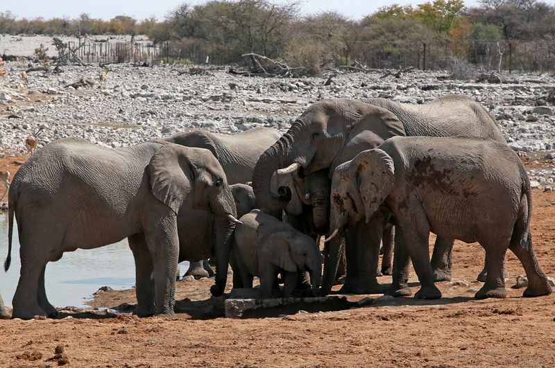 Завоспитали )photo preview