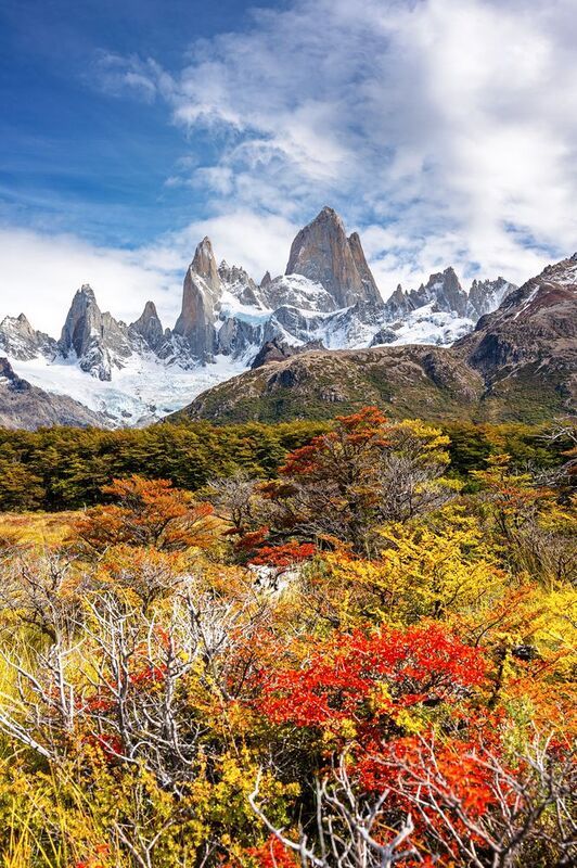 fitz roy, fitzroy, cerro torre, el chalten, chalten, patagonia, argentina, фицрой, серро-торре, эль-чалтен, аргентина, патагония Осенний ковер фото превью