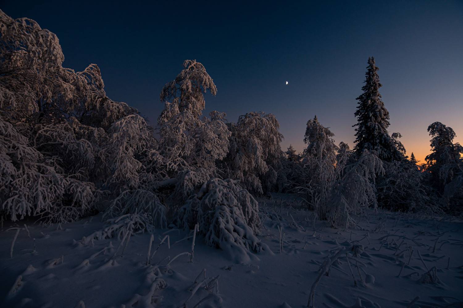 *******. Автор: Андрей Шарапов , Андрей Шарапов