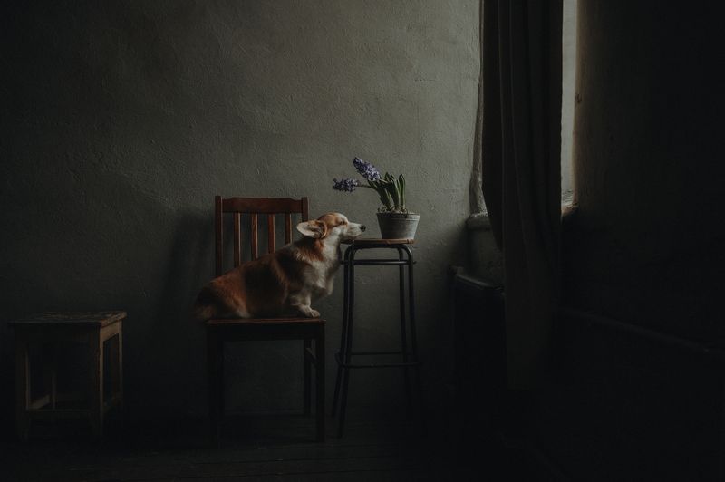 Весенняя меланхолияphoto preview