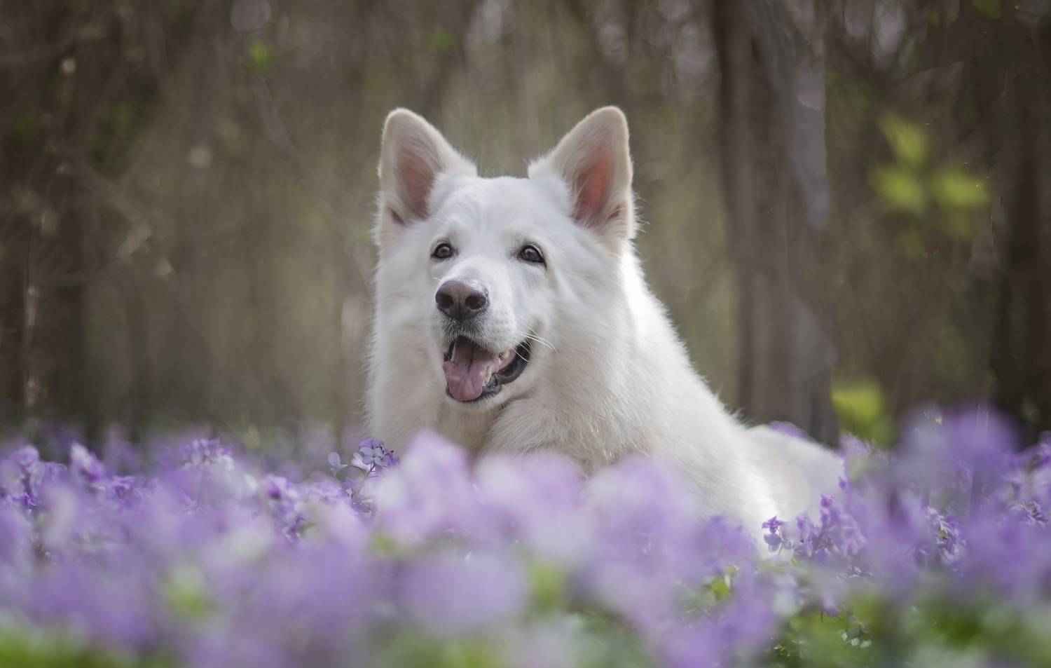 Автор: Яна Кудлай , Яна Кудлай