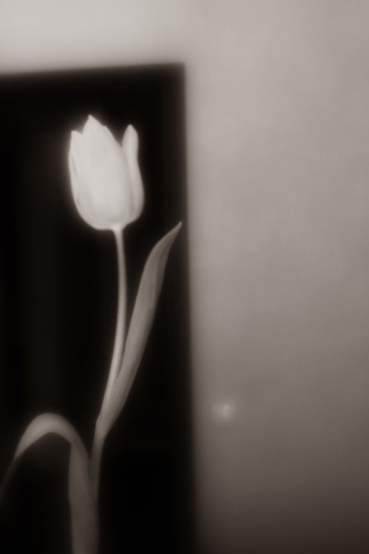 8 мартаphoto preview