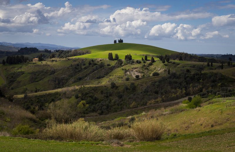 Полдень в Тосканеphoto preview