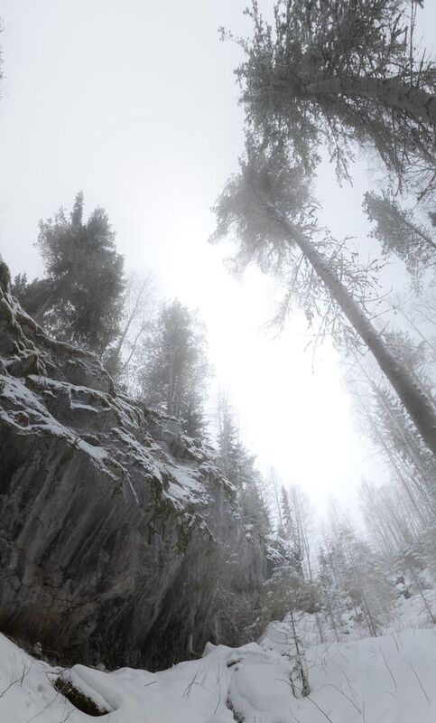 туман, лес, зима, скалы, карелия, winter, fog, mist, forest photo preview