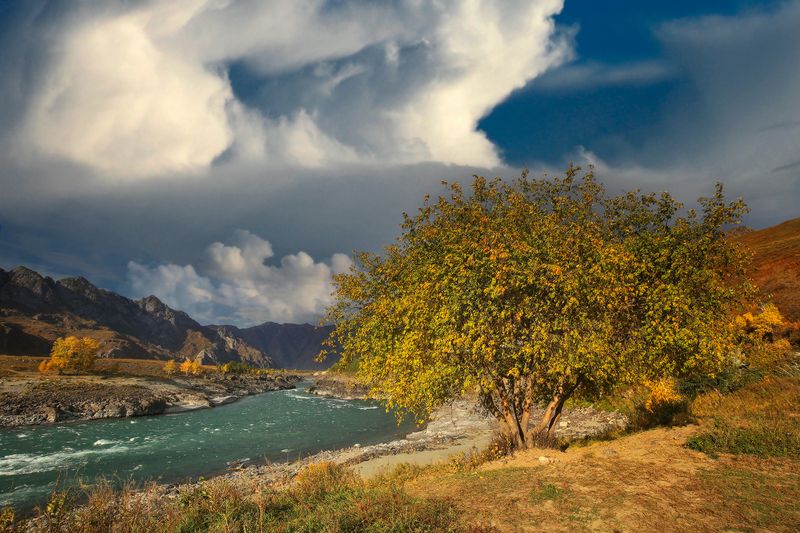 алтай, горный алтай, катунь Осенняя Катуньphoto preview