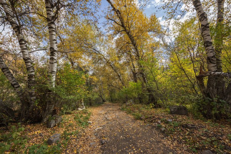 Осень в Пальтау.photo preview