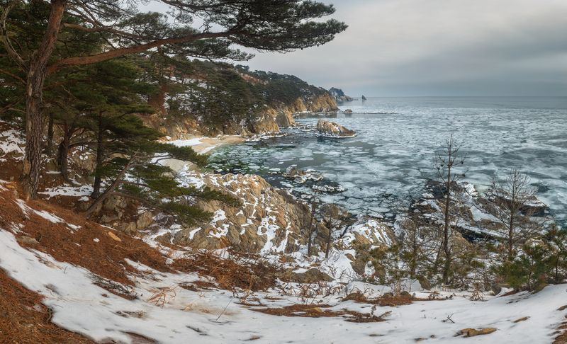 мыс теляковского, полуостров гамова, приморье, японское море, зима Мыс Теляковского (полуостров Гамова) Приморьеphoto preview