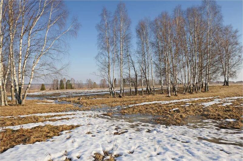 Апрельский денёкphoto preview