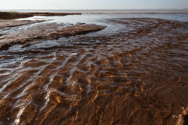 nature, landscapy, природа, пейзаж Финский залив. Ручьи фото превью