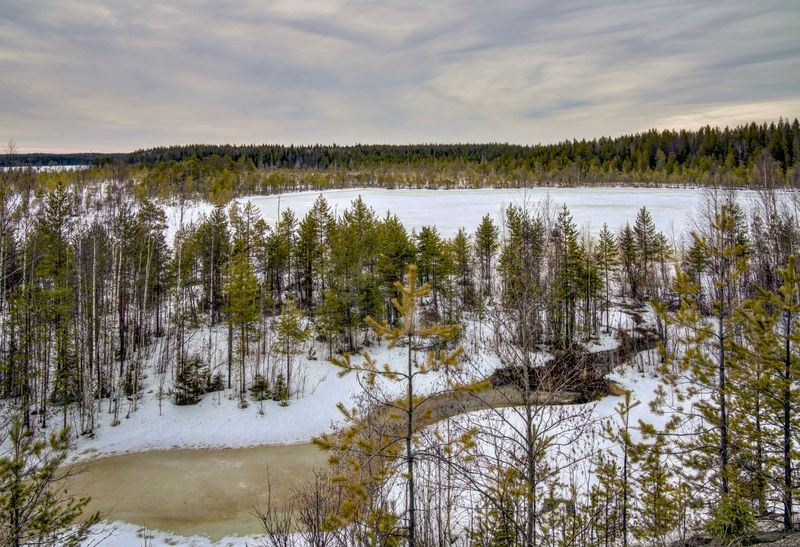 Весна начинается!photo preview