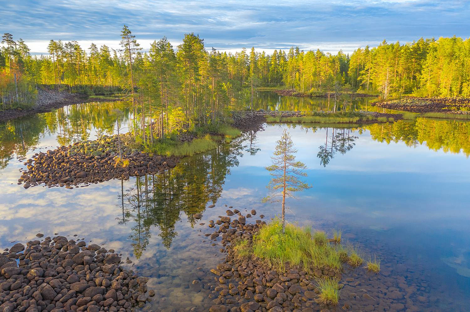 озовая гряда, тайга, ладожские шхеры, карелия, ладога, северное приладожье, сортавала, питкяранта, русский север, северная природа, северный пейзаж, пейзажи карелии, природа карелии, фототуры по карелии, фототуры по ладоге, фототур на ладожские шхеры, Уютнов Кирилл