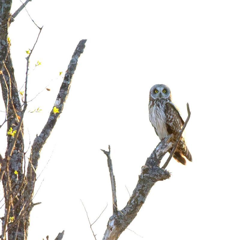 На привычном месте.photo preview