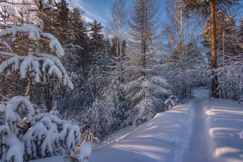 Зимняя тропаphoto preview