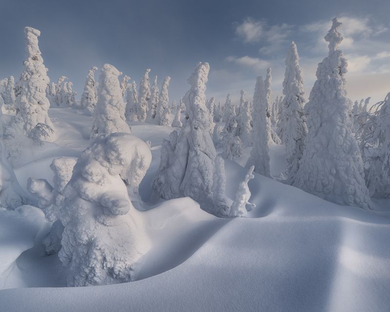 Елочные ассоциации фото превью