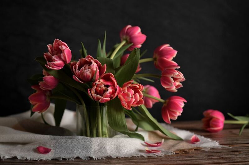 Натюрмортphoto preview