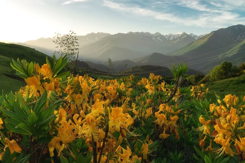 на рассветеphoto preview