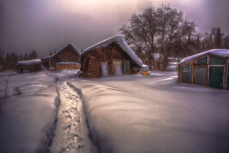 landscape nature forest  travel winter snow siberia village ***photo preview
