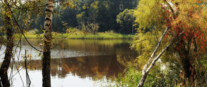 ... у пруда.photo preview