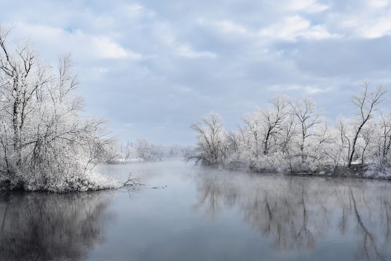 ростовская область, зима, иней, река, снег, мороз Инейphoto preview