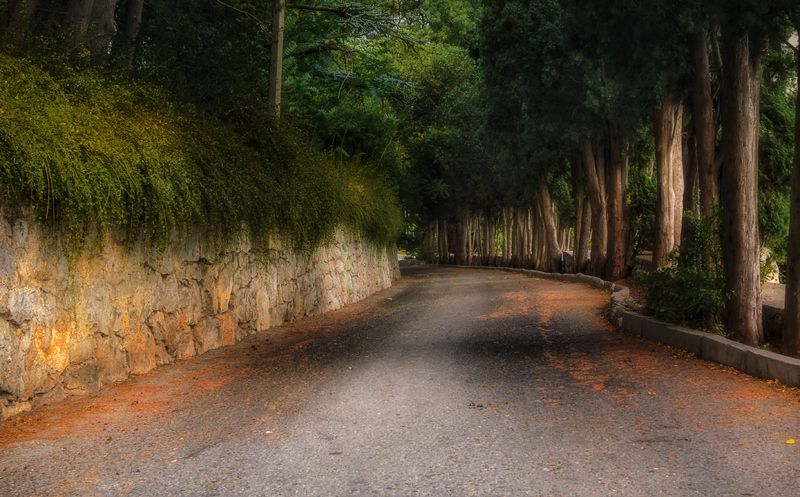 Крымские дороги.photo preview