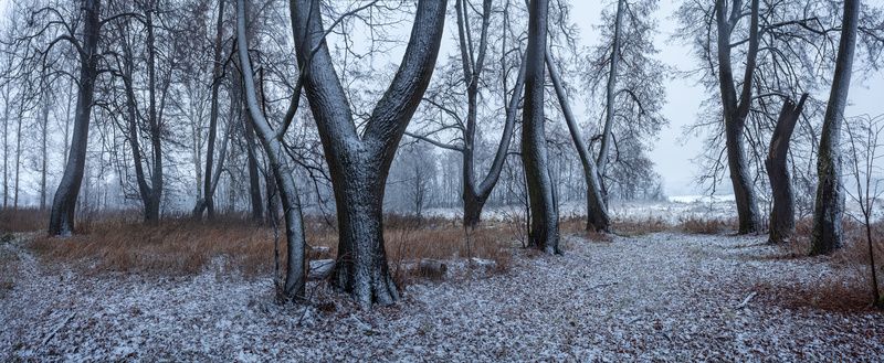 снег, старый парк В заброшенном паркеphoto preview