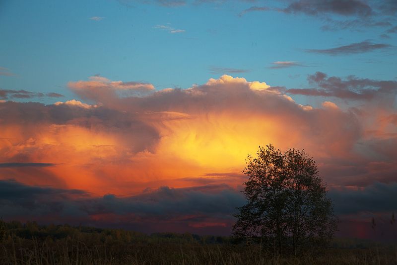 закат, небо, облака, тучи, зарево, лето, веер Финальный аккорд закатаphoto preview