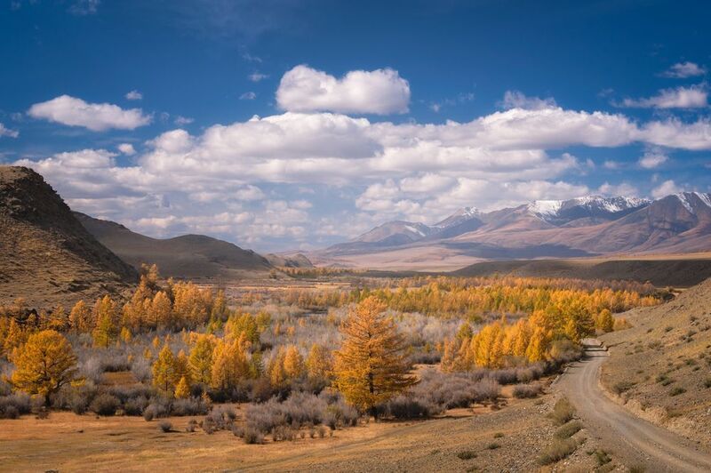 тыва, tuva, горы, солнце, утро, золотая осень, путешествие, journey, traveling Золотая осень./ Golden autumn.photo preview