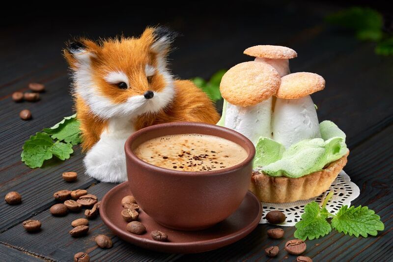 Лисий Five o\'clockphoto preview