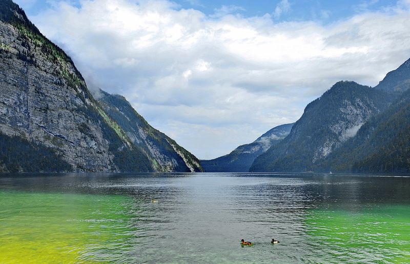 Фауна озера Кенигзееphoto preview