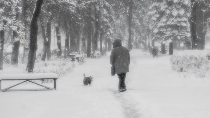 монокль Апрельские шутки природы и погодыphoto preview