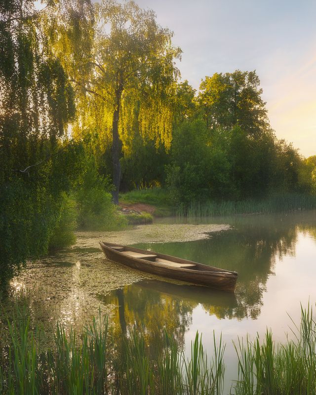 Подмосковьеphoto preview