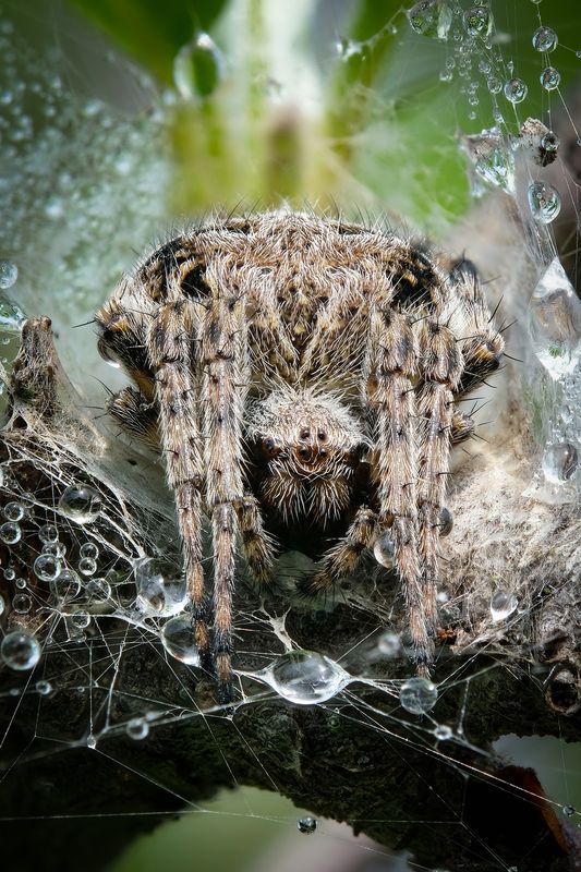 Водные процедурыphoto preview