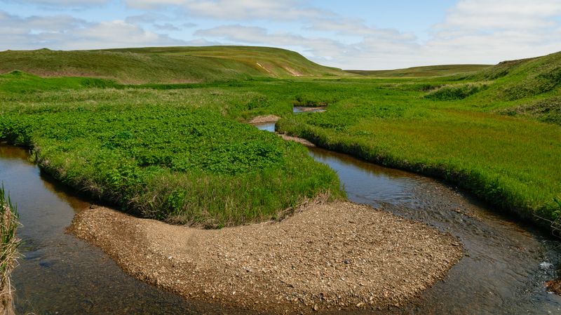 командоры, камчатка, остров, беринга, лето, lumix g90, кроп Остров Берингаphoto preview