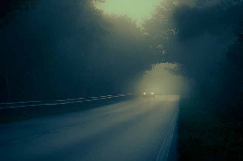 2024-09-25photo preview