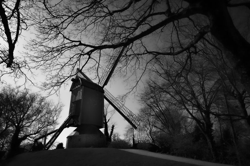 Brujas.photo preview