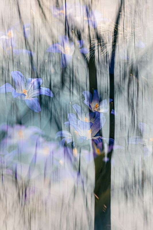 icm, мультиэкспозиция Перезвонphoto preview