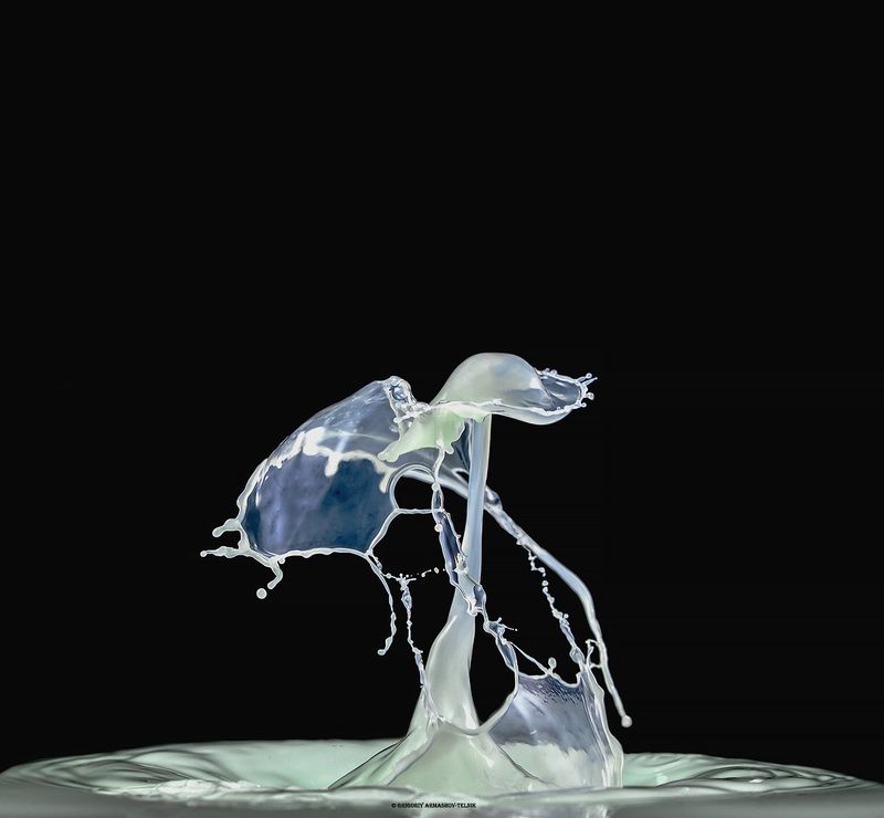 drops, macro, colors,liquid, milk, color_water,macro_photo,water Milkphoto preview