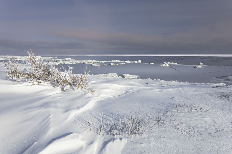 В Беломорском безмолвииphoto preview
