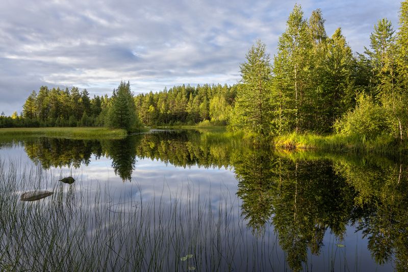 Карелия Безымянное озеро в Карелииphoto preview