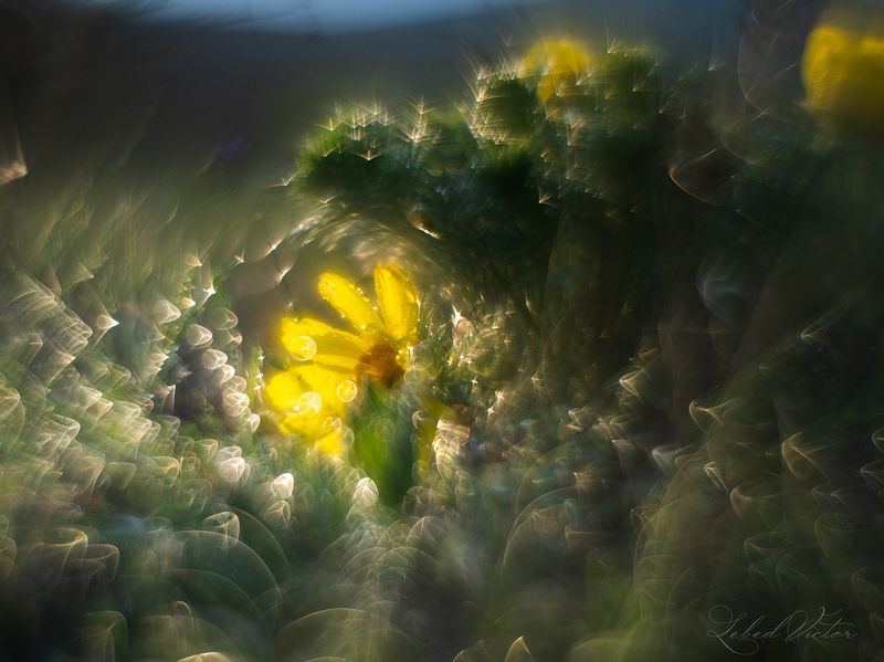 Под волнойphoto preview