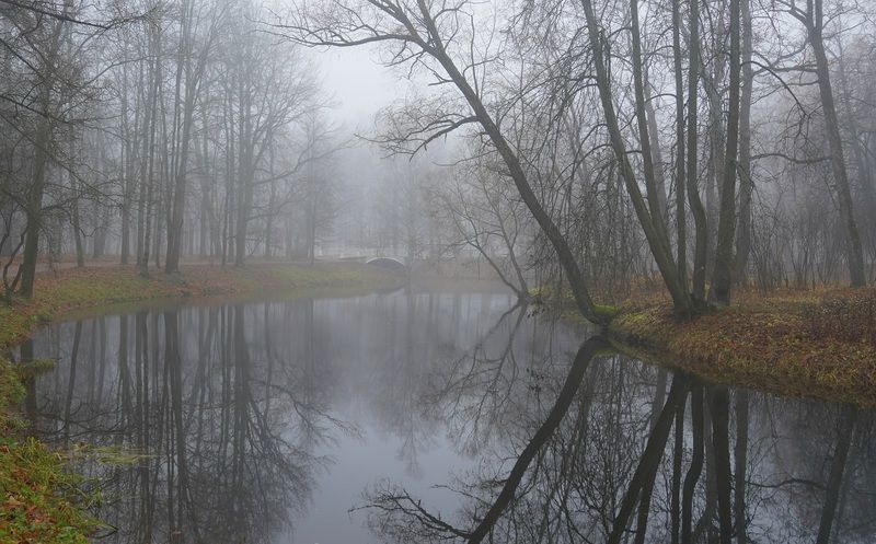 A morning in Novemberphoto preview