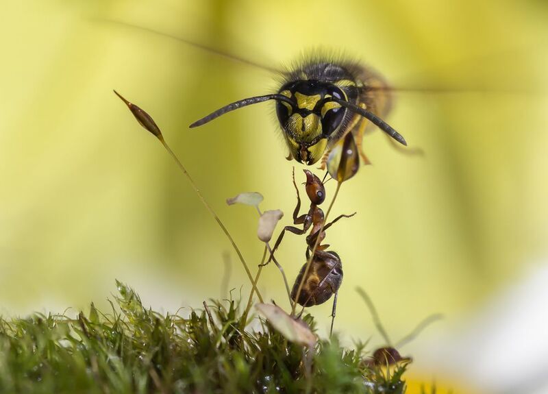И такое бывает...photo preview
