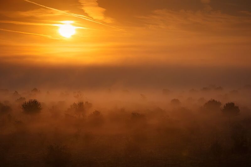 2024-09-26photo preview