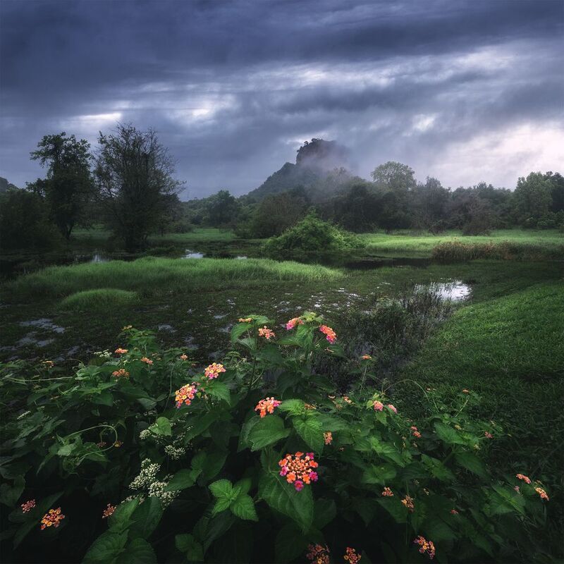 Sigiriya, Sri Lanka фото превью