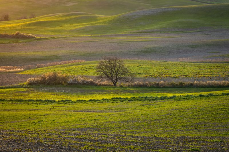 Вечерний светphoto preview